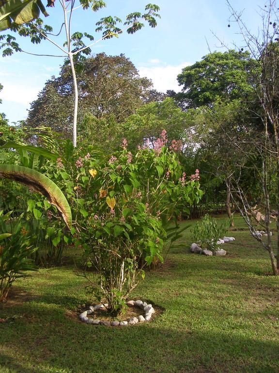 Finca Kobo Palo Seco Exterior foto
